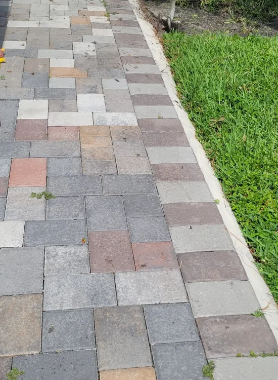 526562482_734335946119243_5352103698136606038_n